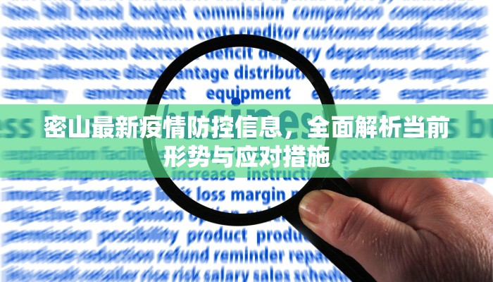 密山最新疫情防控信息，全面解析当前形势与应对措施