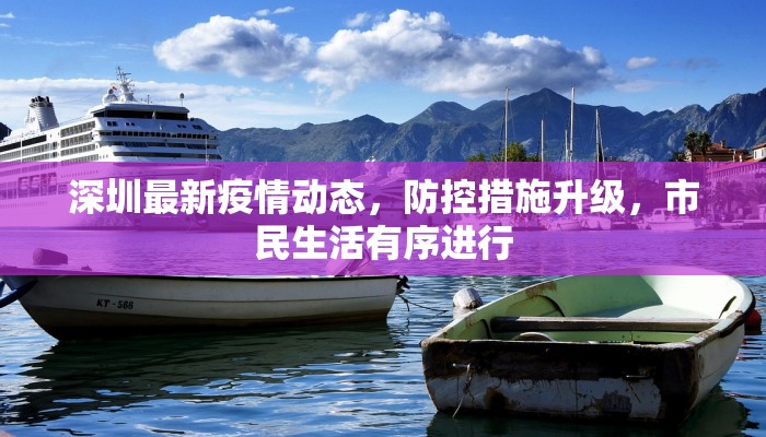 深圳最新疫情动态，防控措施升级，市民生活有序进行