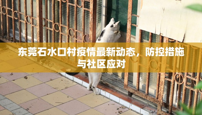东莞石水口村疫情最新动态，防控措施与社区应对