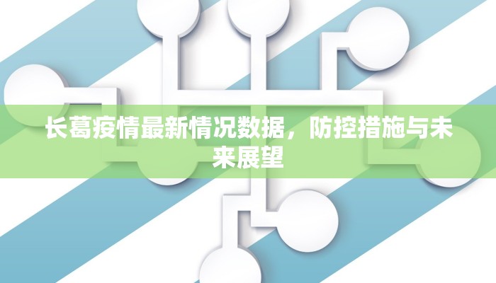 长葛疫情最新情况数据，防控措施与未来展望