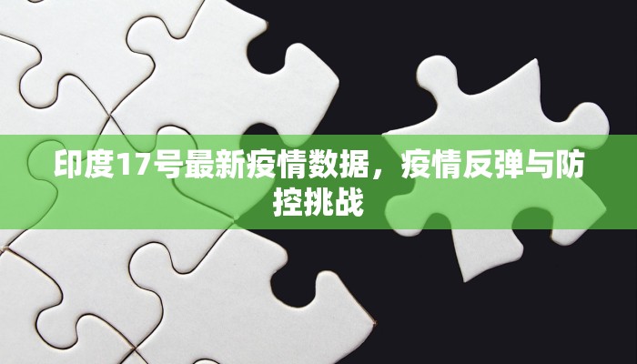 印度17号最新疫情数据，疫情反弹与防控挑战