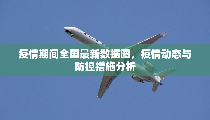 疫情期间全国最新数据图，疫情动态与防控措施分析