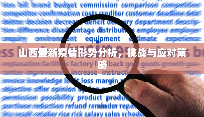 山西最新疫情形势分析，挑战与应对策略