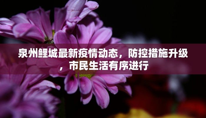 泉州鲤城最新疫情动态，防控措施升级，市民生活有序进行
