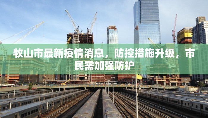 牧山市最新疫情消息，防控措施升级，市民需加强防护