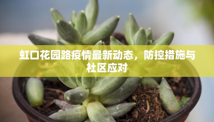 虹口花园路疫情最新动态，防控措施与社区应对