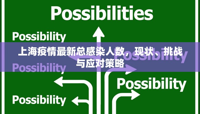 宁阳钢城疫情最新情况，防控措施与市民应对指南
