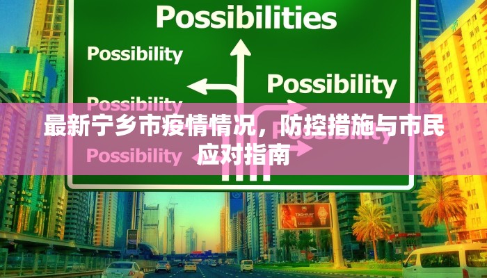 最新宁乡市疫情情况，防控措施与市民应对指南