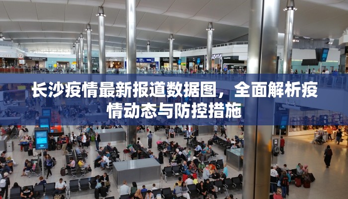 长沙疫情最新报道数据图，全面解析疫情动态与防控措施