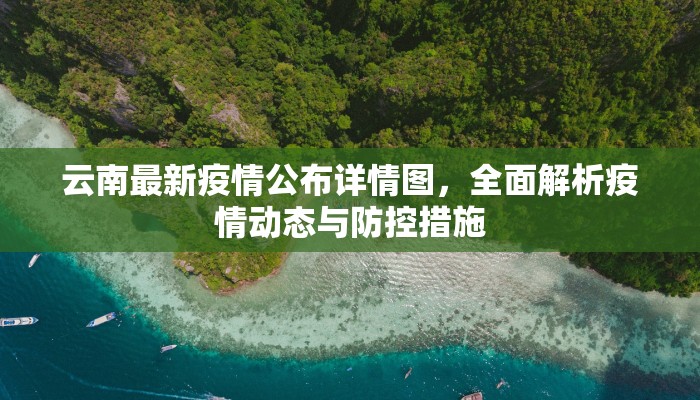 云南最新疫情公布详情图，全面解析疫情动态与防控措施