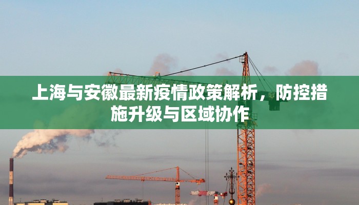 上海与安徽最新疫情政策解析，防控措施升级与区域协作