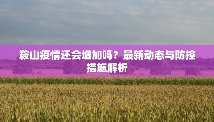 鞍山疫情还会增加吗？最新动态与防控措施解析