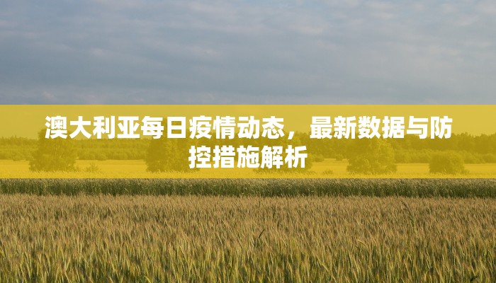 澳大利亚每日疫情动态，最新数据与防控措施解析