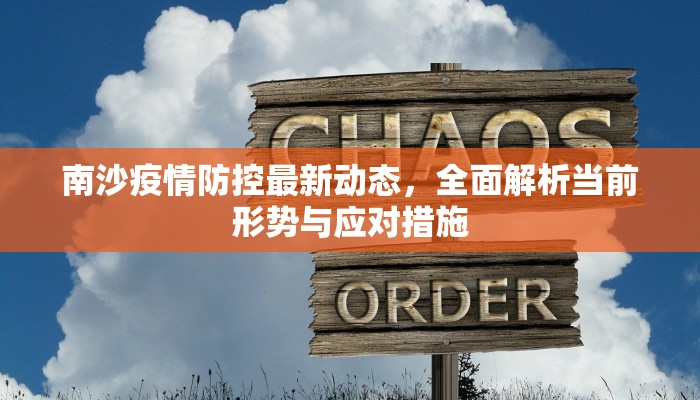 南沙疫情防控最新动态，全面解析当前形势与应对措施