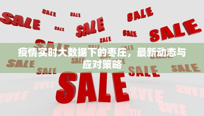 疫情实时大数据下的枣庄，最新动态与应对策略