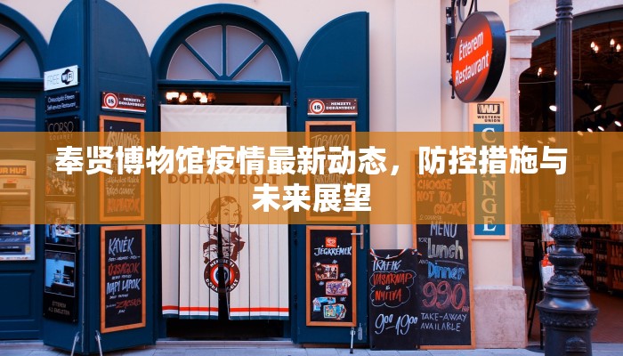 奉贤博物馆疫情最新动态，防控措施与未来展望