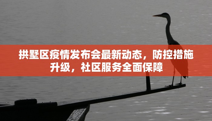 滦县疫情政策最新情况，全面防控与精准施策的双重保障