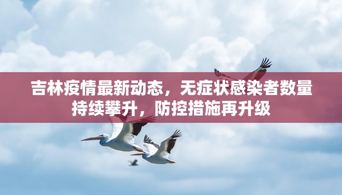 吉林疫情最新动态，无症状感染者数量持续攀升，防控措施再升级