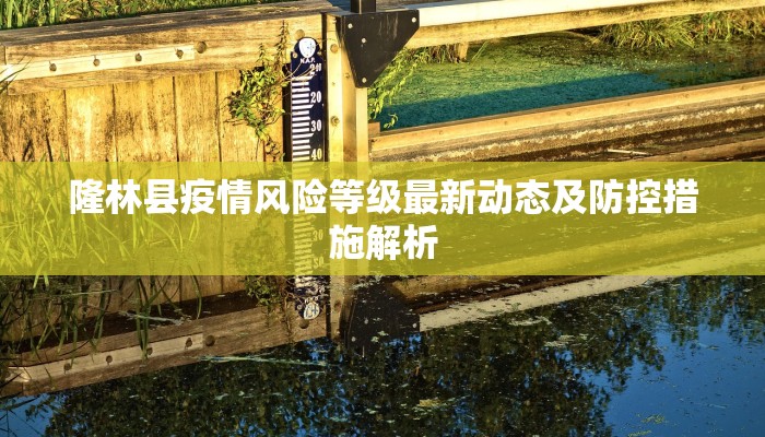 隆林县疫情风险等级最新动态及防控措施解析