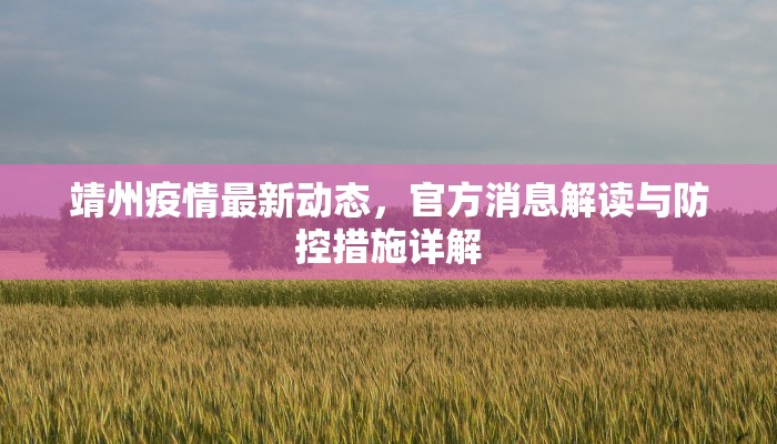 靖州疫情最新动态，官方消息解读与防控措施详解