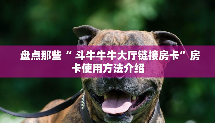 玩家揭秘“微信群链接金花房卡”获取房卡方式