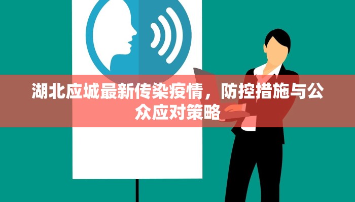 湖北应城最新传染疫情，防控措施与公众应对策略