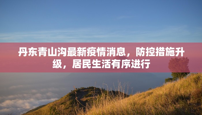 丹东青山沟最新疫情消息，防控措施升级，居民生活有序进行
