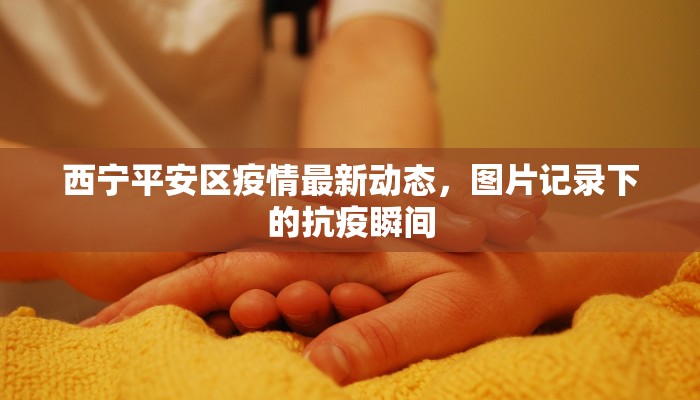 西宁平安区疫情最新动态，图片记录下的抗疫瞬间