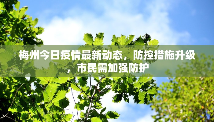 梅州今日疫情最新动态，防控措施升级，市民需加强防护