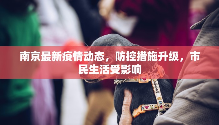 广东与常德疫情最新情况，防控措施与未来展望