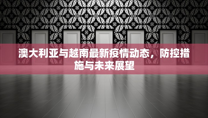 澳大利亚与越南最新疫情动态，防控措施与未来展望