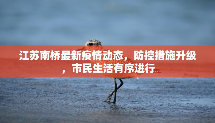 江苏南桥最新疫情动态，防控措施升级，市民生活有序进行