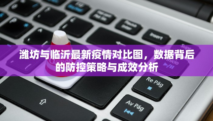 潍坊与临沂最新疫情对比图，数据背后的防控策略与成效分析