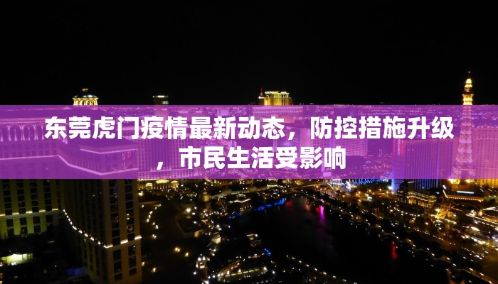疫情隔离点最新要求，科学防控与人性化管理的双重保障
