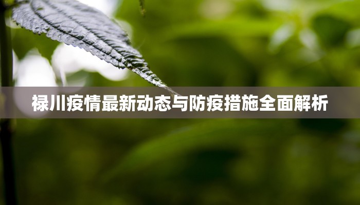 禄川疫情最新动态与防疫措施全面解析