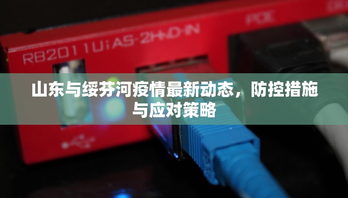 山东与绥芬河疫情最新动态，防控措施与应对策略