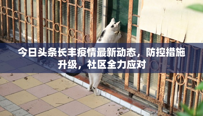 一分钟了解“蜜瓜大厅如何买房卡”详细房卡教程
