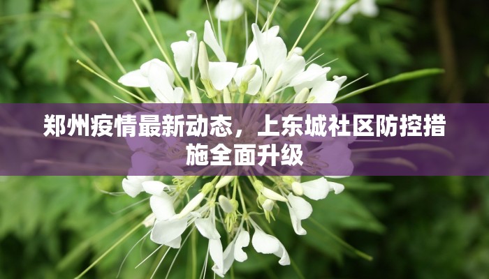 湘潭石潭疫情最新情况，防控措施与社区应对