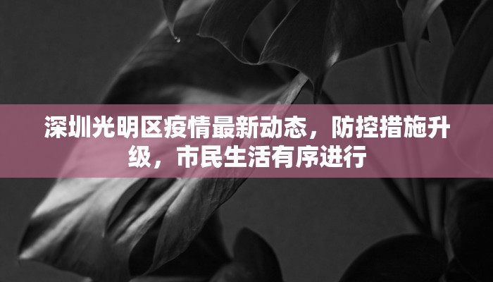 深圳光明区疫情最新动态，防控措施升级，市民生活有序进行
