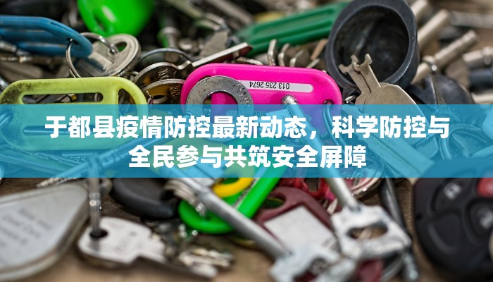 广州与邢台疫情最新情况，防控措施与未来展望
