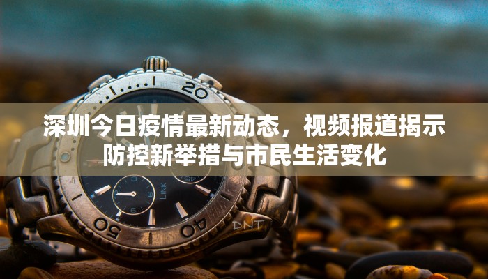 深圳今日疫情最新动态，视频报道揭示防控新举措与市民生活变化