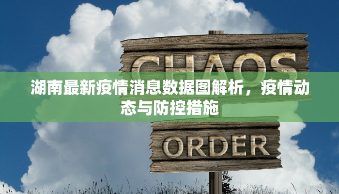 湖南最新疫情消息数据图解析，疫情动态与防控措施