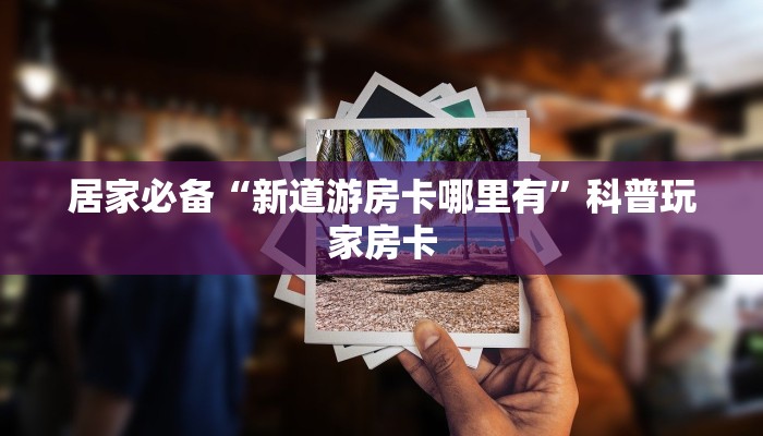 金海新区最新疫情防控措施全面解读，科学防控与民生保障并重