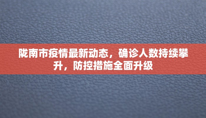 陇南市疫情最新动态，确诊人数持续攀升，防控措施全面升级