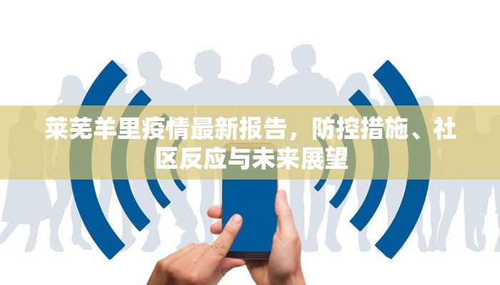 莱芜羊里疫情最新报告，防控措施、社区反应与未来展望