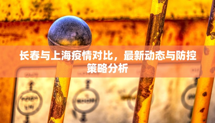 长春与上海疫情对比，最新动态与防控策略分析