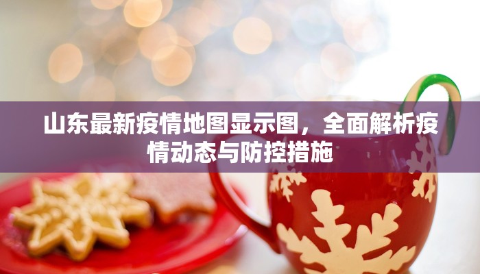山东最新疫情地图显示图，全面解析疫情动态与防控措施