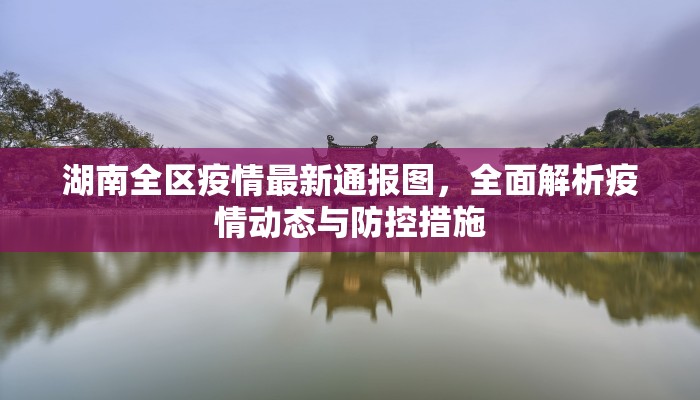 湖南全区疫情最新通报图，全面解析疫情动态与防控措施