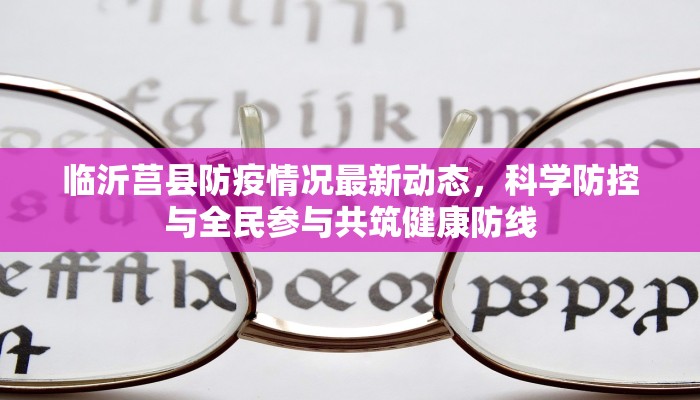 沙河桥头疫情最新动态，防控措施与市民应对指南