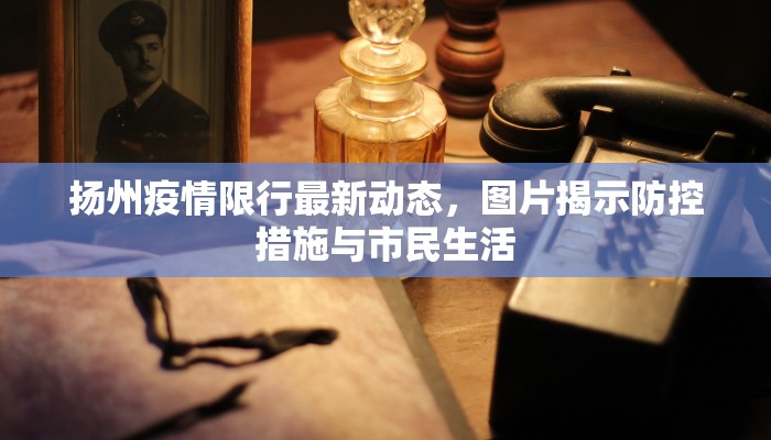 扬州疫情限行最新动态，图片揭示防控措施与市民生活